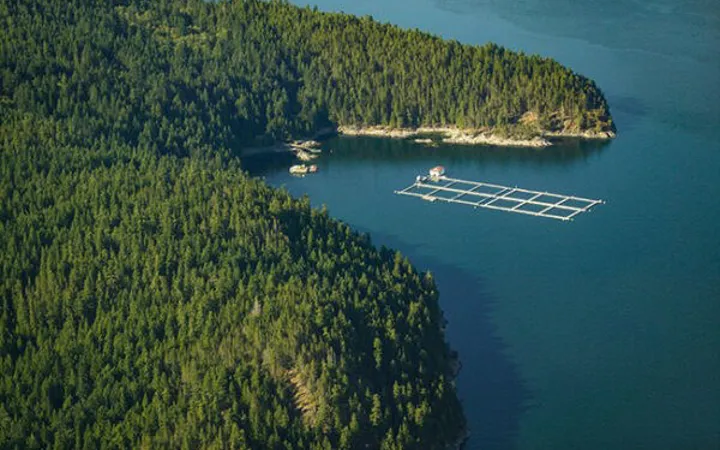 DFO's aquaculture transition news