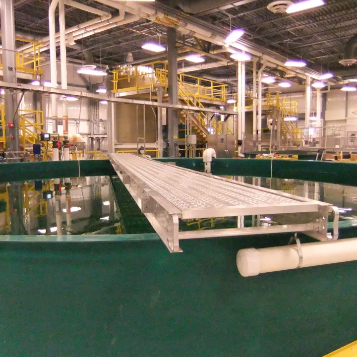Inside the Ruth Burnett Sport Fish Hatchery