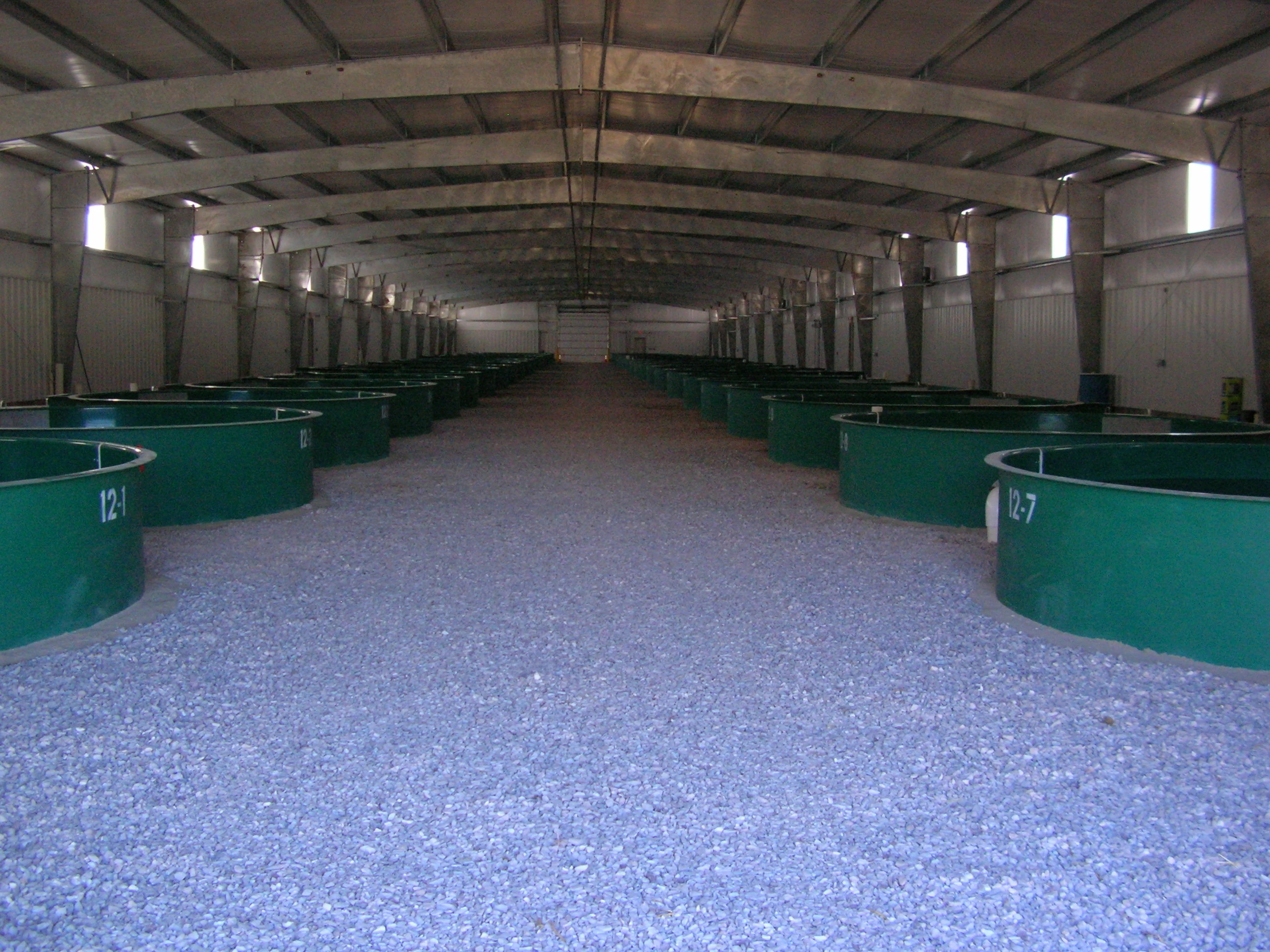 Hatchery interior at a hatchery in the State of Wyoming