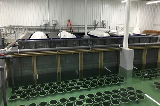 RAS Recirculating Aquaculture System Hydrotech Drum Filter Aquaculture