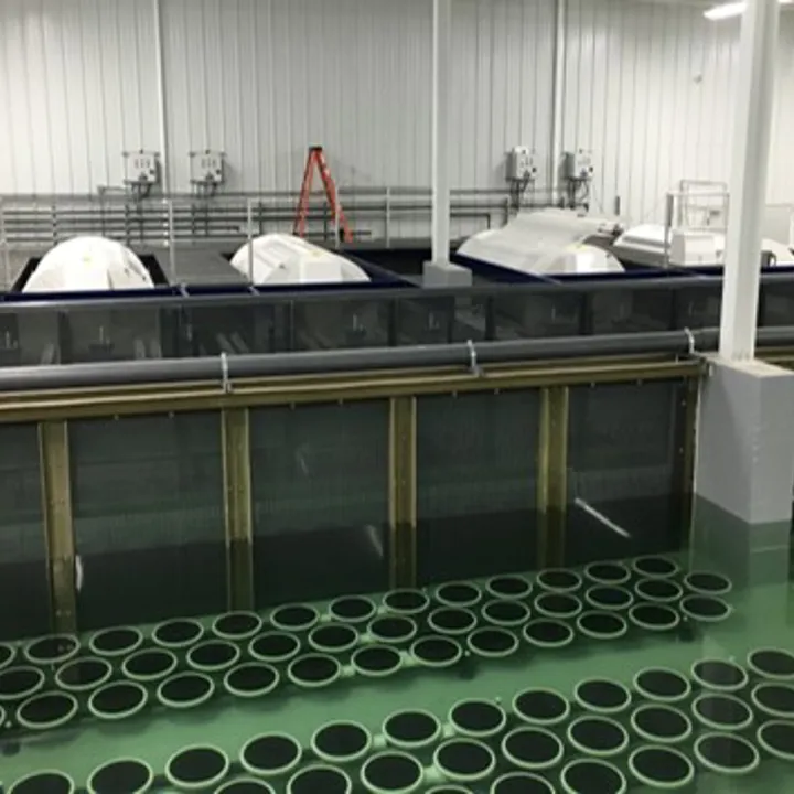 RAS Recirculating Aquaculture System Hydrotech Drum Filter Aquaculture