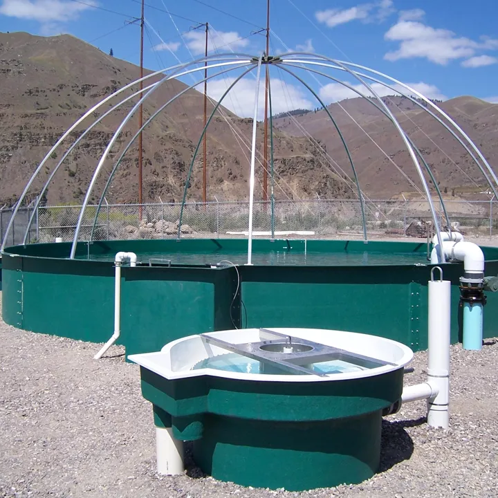 Recirculating Aquaculture Systems (RAS) In The United States