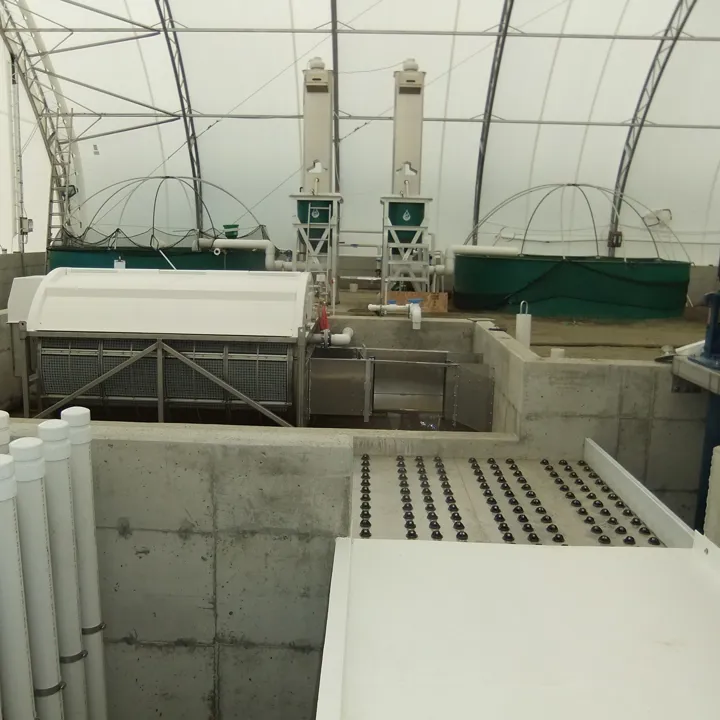 RAS recirculating aquaculture system Hydrotech drum filter belt aquaculture